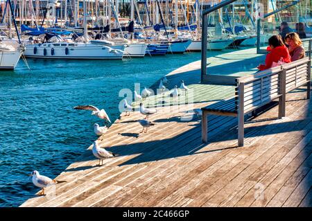 Bank und Möwen in Port Vell, Barcelona, Spanien Stockfoto