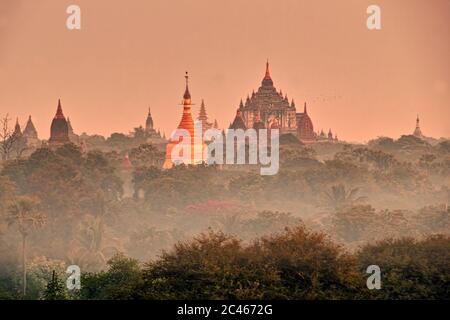 Blick über die Ebenen von Bagan, Myanmar mit weichem warmen Licht, buddhistische Tempel Stockfoto