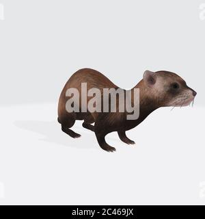 Grafische Darstellung von 3D gerendertem Otter isoliert auf dem weißen Hintergrund Stockfoto