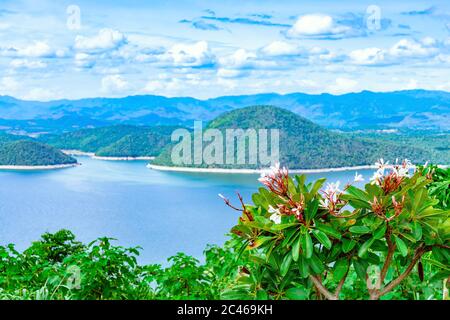 Frangipani Blume oder Plumeria Blume blüht auf Baum mit schöner Landschaft der Natur mit einem großen Stausee über dem Srinagarind Staudamm bei Rai Ya Yam Stockfoto