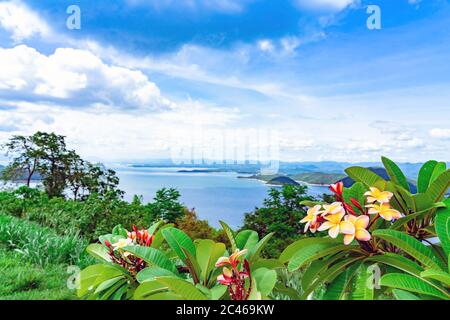 Frangipani Blume oder Plumeria Blume blüht auf Baum mit schöner Landschaft der Natur mit einem großen Stausee über dem Srinagarind Staudamm bei Rai Ya Yam Stockfoto