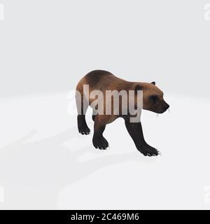 Grafische Darstellung von 3D-gerenderten Grizzlybären isoliert auf dem Weißer Hintergrund Stockfoto