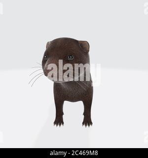 Grafische Darstellung von 3D gerendertem Otter isoliert auf dem weißen Hintergrund Stockfoto