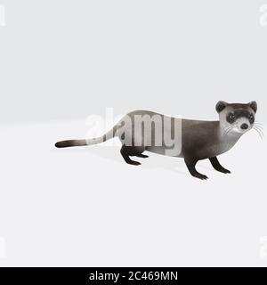 Grafische Darstellung von 3D gerendertem Otter isoliert auf dem weißen Hintergrund Stockfoto