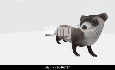 Grafische Darstellung von 3D gerendertem Otter isoliert auf dem weißen Hintergrund Stockfoto