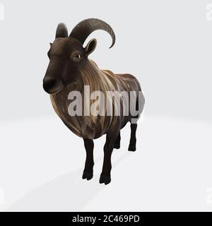 Grafische Darstellung eines 3D-gerenderten Mausolons, das auf dem isoliert ist Weißer Hintergrund Stockfoto