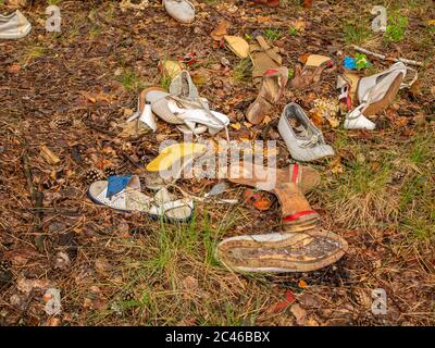 Alte Frauenschuhe mit Fersen sind im Wald auf dem Boden verstreut. Stockfoto