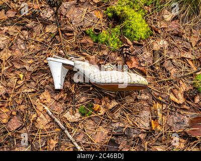 Alte Frauenschuhe mit Fersen sind im Wald auf dem Boden verstreut. Stockfoto