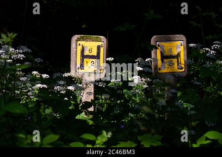 Nahaufnahme von zwei gelben Schilder des britischen Hydranten H, die die nächstgelegene Löschwasserversorgung in West Yorkshire zeigen Stockfoto