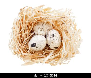 Drei Wachteleier in einem Nest, isoliert mit einem Pfad zum Schneiden Stockfoto