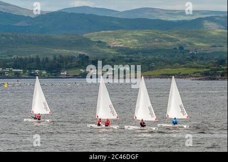 Bantry, West Cork, Irland. Juni 2020. Bantry sonnt sich heute in heißer Sonne, nach einem Tag voller Regen gestern. Genießen Sie die Aussicht auf BantMitglieder des Bantry Bay Sailing Club genießen Sie einen Tag auf dem Wasser segeln. Quelle: AG News/Alamy Live News Stockfoto