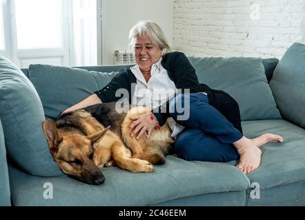 Selbstbewusst ältere Frau lieben und kuscheln ihr niedliches Haustier großen Hund deutschen Schäferhund genießen das Leben zu Hause zusammen. Positives Bild vom Leben zu Hause im Aufenthalt Stockfoto