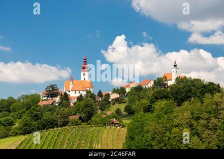 Stadt Straden und Weinberge in der Steiermark, Österreich Stockfoto