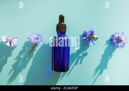 Kosmetisches Öl oder Serum, bluetblaue Flasche und Blumen auf blauem Hintergrund Stockfoto
