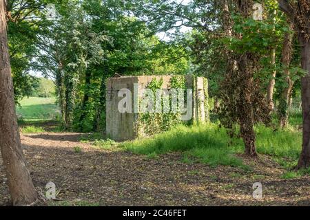 Ein Weltkrieg zwei sechseckige defensive Betonsäulenkasten (Typ 22) am Rande von Hounslow Heath, Hounslow, London, Großbritannien. Stockfoto