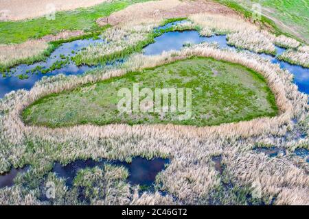 Sumpf Blick von Drohne. Sumpfige Landschaft. Stockfoto