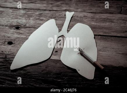 Konzeptuelles Bild von Zigarettenbrand auf Papier Lunge isoliert auf rustikalem Hintergrund. Werbeart Tabak und Lungenkrebs, Medizinische Warnung, sto Stockfoto