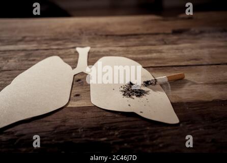 Konzeptuelles Bild von Zigarettenbrand auf Papier Lunge isoliert auf rustikalem Hintergrund. Werbeart Tabak und Lungenkrebs, Medizinische Warnung, sto Stockfoto