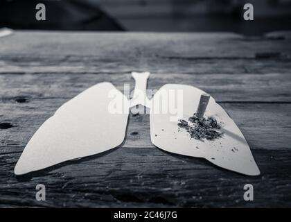 Konzeptuelles Bild von Zigarettenbrand auf Papier Lunge isoliert auf rustikalem Hintergrund. Werbeart Tabak und Lungenkrebs, Medizinische Warnung, sto Stockfoto