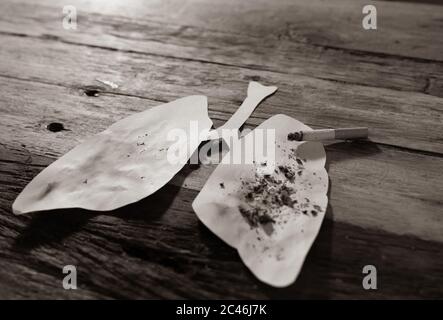 Konzeptuelles Bild von Zigarettenbrand auf Papier Lunge isoliert auf rustikalem Hintergrund. Werbeart Tabak und Lungenkrebs, Medizinische Warnung, sto Stockfoto