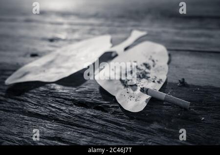 Konzeptuelles Bild von Zigarettenbrand auf Papier Lunge isoliert auf rustikalem Hintergrund. Werbeart Tabak und Lungenkrebs, Medizinische Warnung, sto Stockfoto