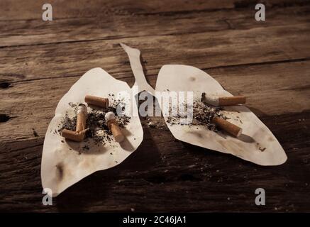Konzeptuelles Bild von Zigaretten Stiche und Brennen auf schmutzigen Lungen isoliert auf rustikalem Hintergrund. Werbestil von Tabak und Lungenkrebs, Medical w Stockfoto