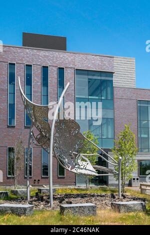 DULUTH, MN/USA - 19. JUNI 2020: Heikkila Chemie und Advanced Materials Science Gebäude auf dem Campus der University of Minnesota-Duluth. Stockfoto