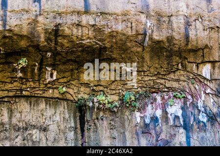 Blaue Farben und hängende Gärten an den bunten Sandsteinfelsen entlang des Riverside Walk im Zion National Park, Utah, USA Stockfoto