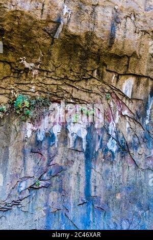 Blaue Farben und hängende Gärten an den bunten Sandsteinfelsen entlang des Riverside Walk im Zion National Park, Utah, USA Stockfoto