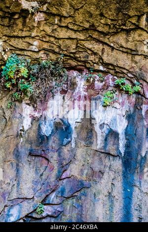 Blaue Farben und hängende Gärten an den bunten Sandsteinfelsen entlang des Riverside Walk im Zion National Park, Utah, USA Stockfoto