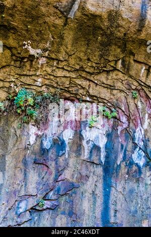 Blaue Farben und hängende Gärten an den bunten Sandsteinfelsen entlang des Riverside Walk im Zion National Park, Utah, USA Stockfoto