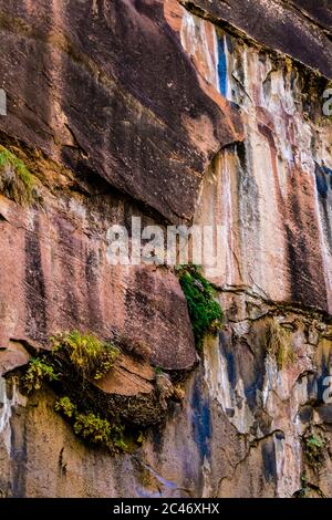 Blaue Farben und hängende Gärten an den bunten Sandsteinfelsen entlang des Riverside Walk im Zion National Park, Utah, USA Stockfoto