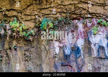 Blaue Farben und hängende Gärten an den bunten Sandsteinfelsen entlang des Riverside Walk im Zion National Park, Utah, USA Stockfoto