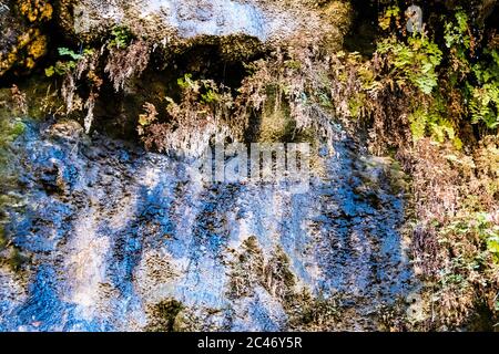 Blaue Farben und hängende Gärten an den bunten Sandsteinfelsen entlang des Riverside Walk im Zion National Park, Utah, USA Stockfoto