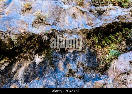Blaue Farben und hängende Gärten an den bunten Sandsteinfelsen entlang des Riverside Walk im Zion National Park, Utah, USA Stockfoto