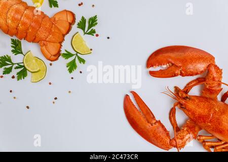 Weißer Hintergrund mit Hummerschwanz und Krallen. Draufsicht. Stockfoto