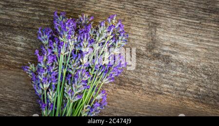 Lavendelblüten auf Holzhintergrund. Nahaufnahme. Stockfoto