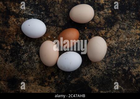 Reife Äpfel im Obstgarten geerntet. Holzkiste mit Äpfeln auf dem Hintergrund des Schreibtafel. Stockfoto