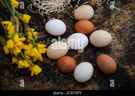 Reife Äpfel im Obstgarten geerntet. Holzkiste mit Äpfeln auf dem Hintergrund des Schreibtafel. Stockfoto