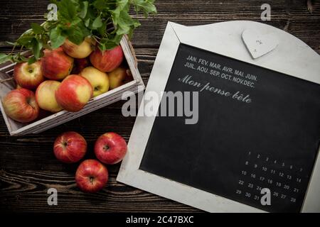Reife Äpfel im Obstgarten geerntet. Holzkiste mit Äpfeln auf dem Hintergrund des Schreibtafel. Stockfoto