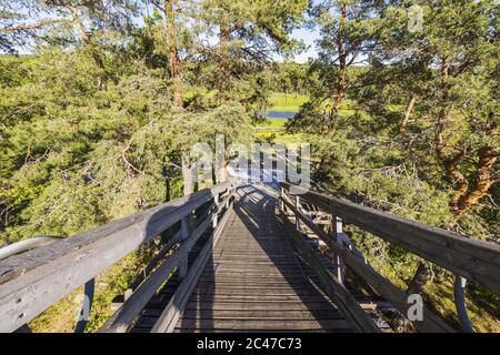 Schöne Aussicht von oben nach unten von Holz Freestyle und Snowboarding Startpad auf Waldlandschaft auf blauen Himmel Hintergrund. Schweden. Europa. Stockfoto