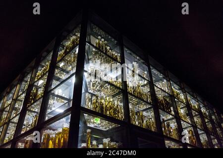 Regale mit verschiedenen Tieren in Formaldehydlösung aufbewahrt Stockfoto