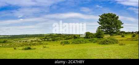 Panoramablick auf offene Felder und Hügel von Llantrisant Common am Stadtrand von Cardiff, Wales Stockfoto