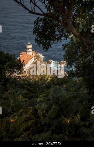 High-Angle-Aufnahme des Leuchtturms entlang des Meeres und Unter grünen Bäumen in Spanien gefangen Stockfoto