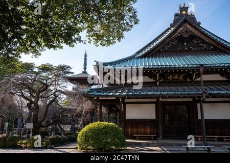 Gotokuji Tempel - ein buddhistischer Tempel, der angeblich der Geburtsort des Maneki-Neko, oder "Glück-einladenden Katze Figur". Tokio, Japan. Stockfoto