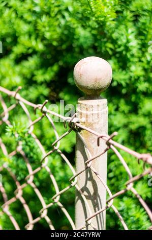 Nahaufnahme des alten rostigen Metallpols des Gitters Zaun im Garten Stockfoto