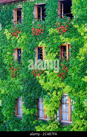 Rebenfassade im alten Stadtteil Freiburg (Freiburg), Schweiz Stockfoto
