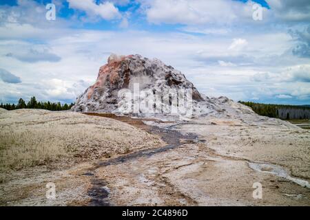 Der White Dome Geysir im Yellowstone National Park, Wyoming Stockfoto