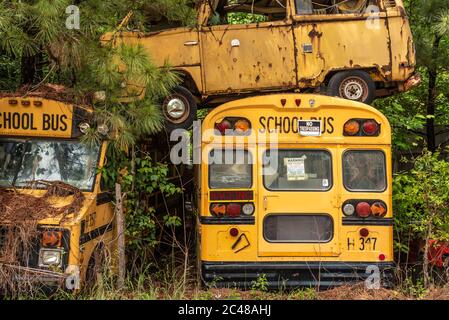 Gestapelte Busse auf dem Schulbus Friedhof in Alto, Georgia. (USA) Stockfoto