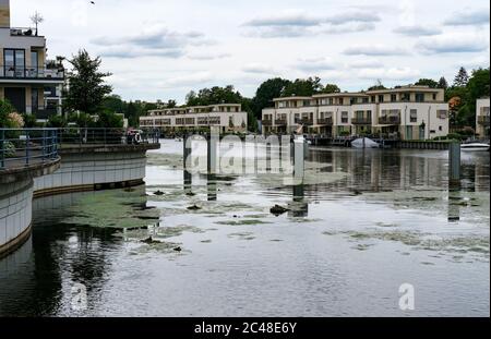 Berlin, Deutschland. Juni 2020. Neubauten auf der Humboldt-Insel am Hafen Tegel. Quelle: Jens Kalaene/dpa-Zentralbild/ZB/dpa/Alamy Live News Stockfoto